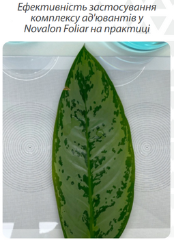Крапля Новалон Фоліар