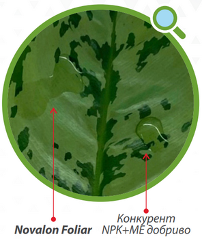 Крапля звичайного добрива